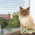Zaštitna mrežica za prozor za mačke sa ojačanom žicom